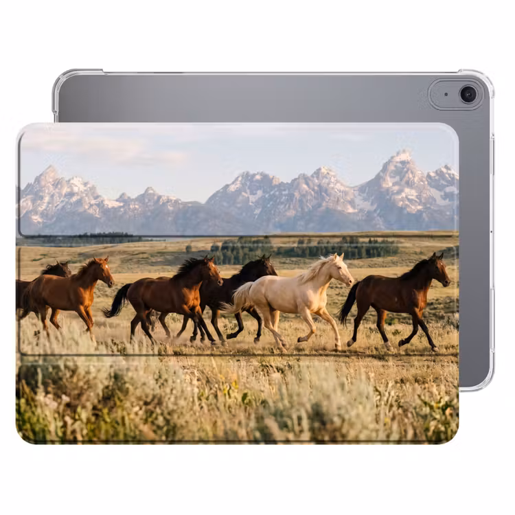 iPad hoes - Paarden - Kudde - Bergen - Vrijheid - Wild — 1