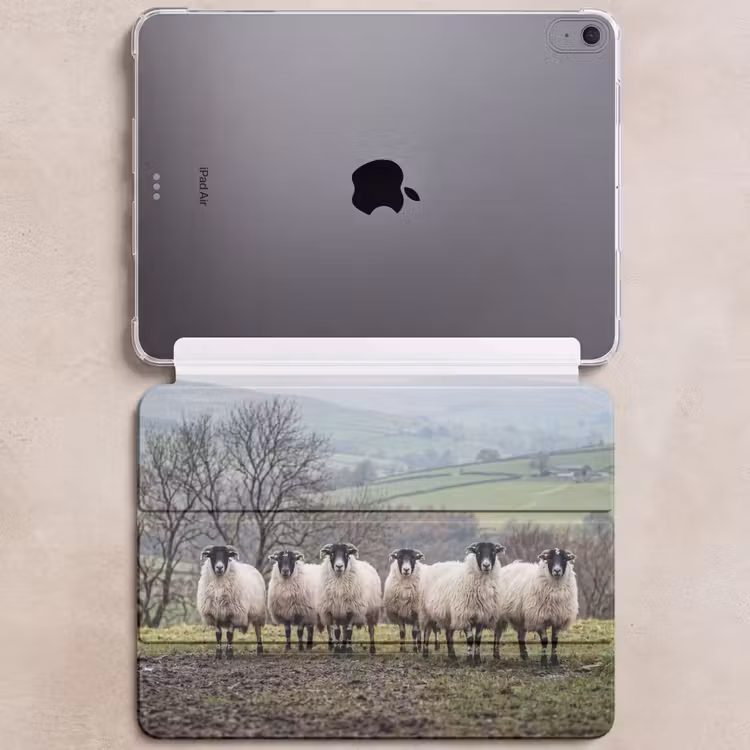 iPad hoes - Schapen - Rij - Weide - Dieren - Platteland — 6