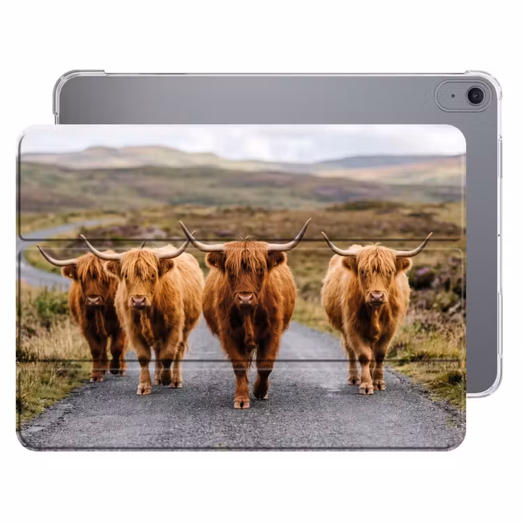 iPad hoes - Schotse Hooglanders - Weg - Landschap - Kudde — 1