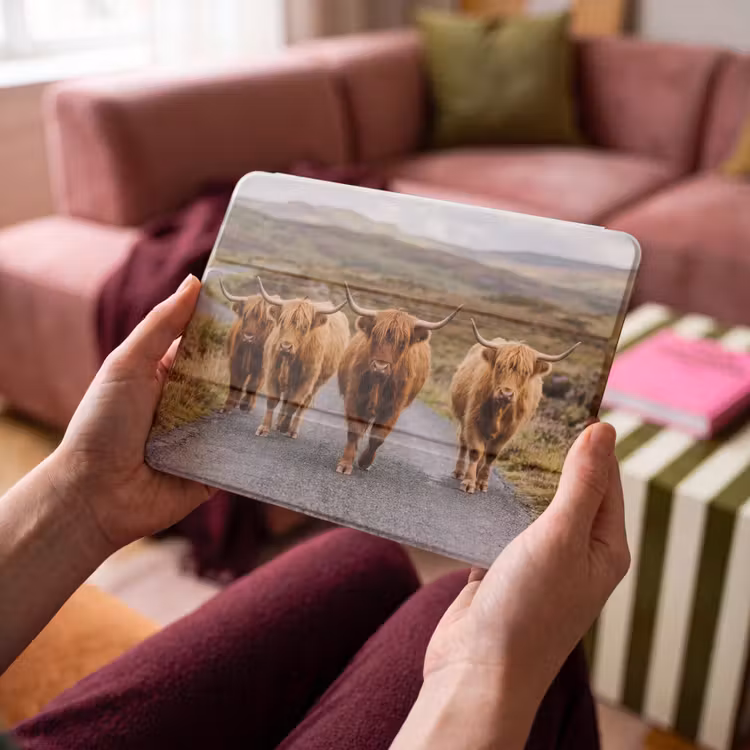 iPad hoes - Schotse Hooglanders - Weg - Landschap - Kudde — 4