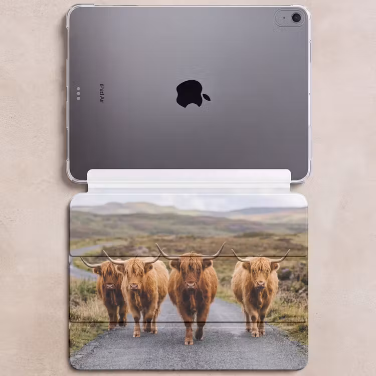 iPad hoes - Schotse Hooglanders - Weg - Landschap - Kudde — 6