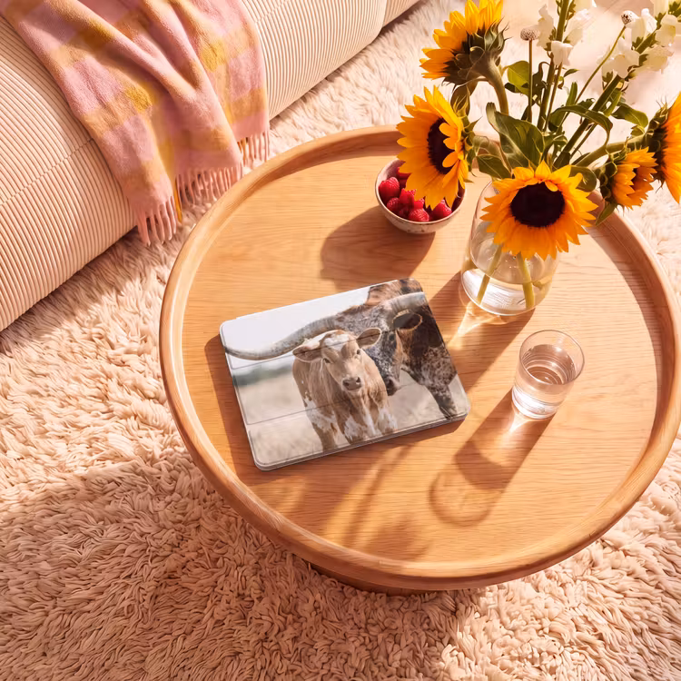 iPad hoes - Texas Longhorn - Kalf - Weide - Dieren — 2