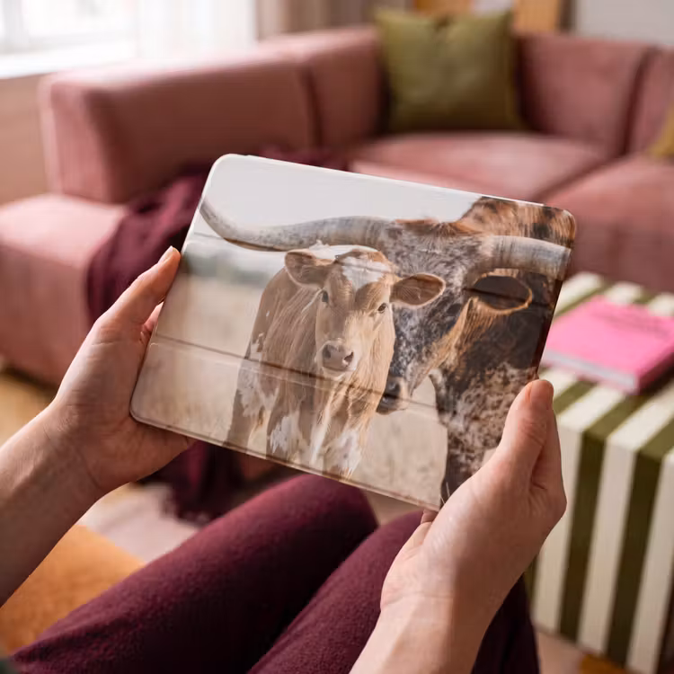 iPad hoes - Texas Longhorn - Kalf - Weide - Dieren — 4