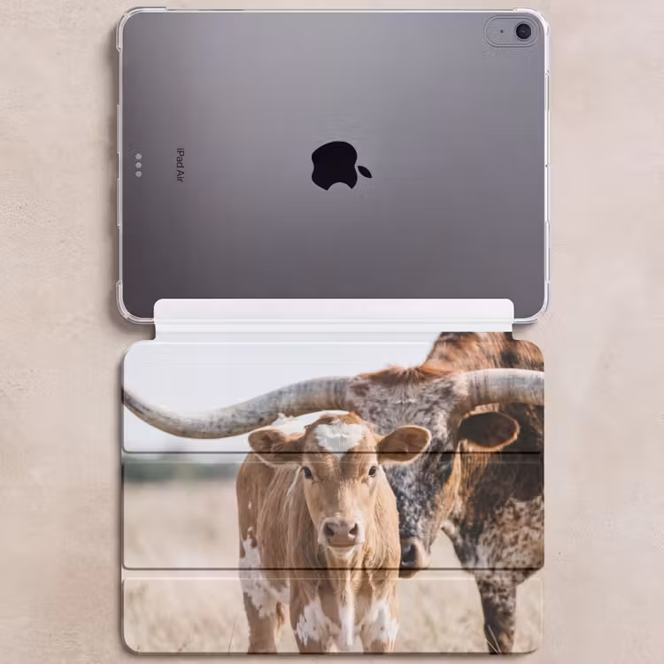 iPad hoes - Texas Longhorn - Kalf - Weide - Dieren — 6