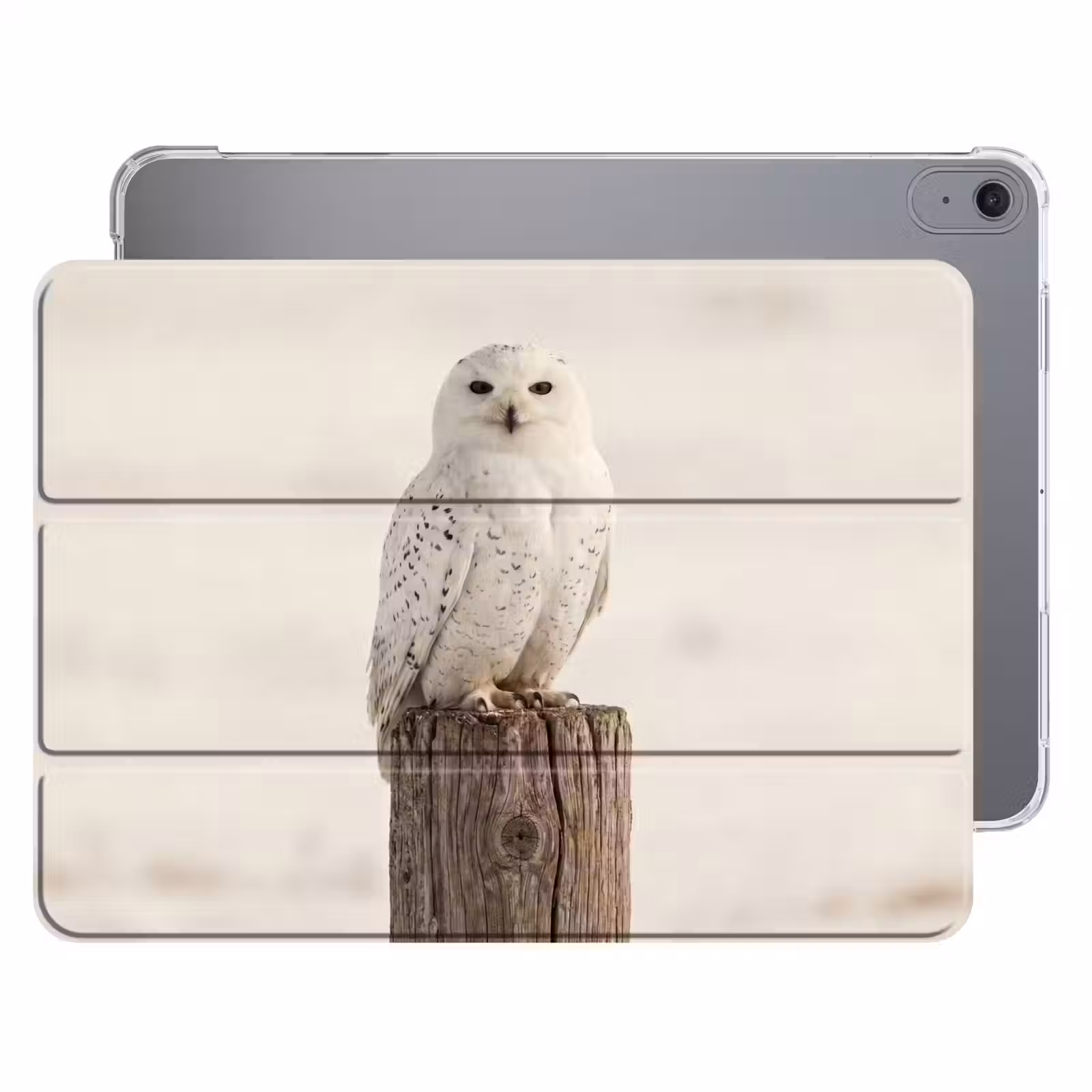 iPad hoes - Sneeuwuil - Paal - Winter - Portret - Majestueus — 1