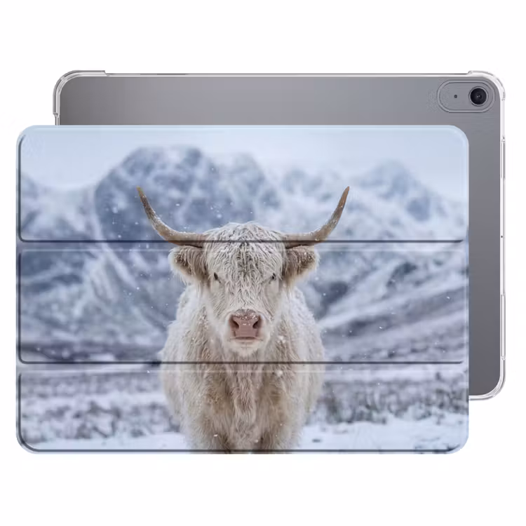 iPad hoes - Schotse Hooglander - Sneeuw - Bergen - Winter — 1