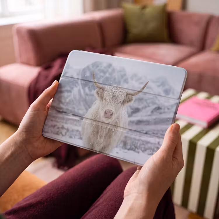 iPad hoes - Schotse Hooglander - Sneeuw - Bergen - Winter — 4