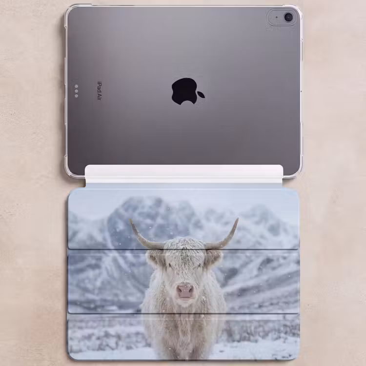 iPad hoes - Schotse Hooglander - Sneeuw - Bergen - Winter — 6