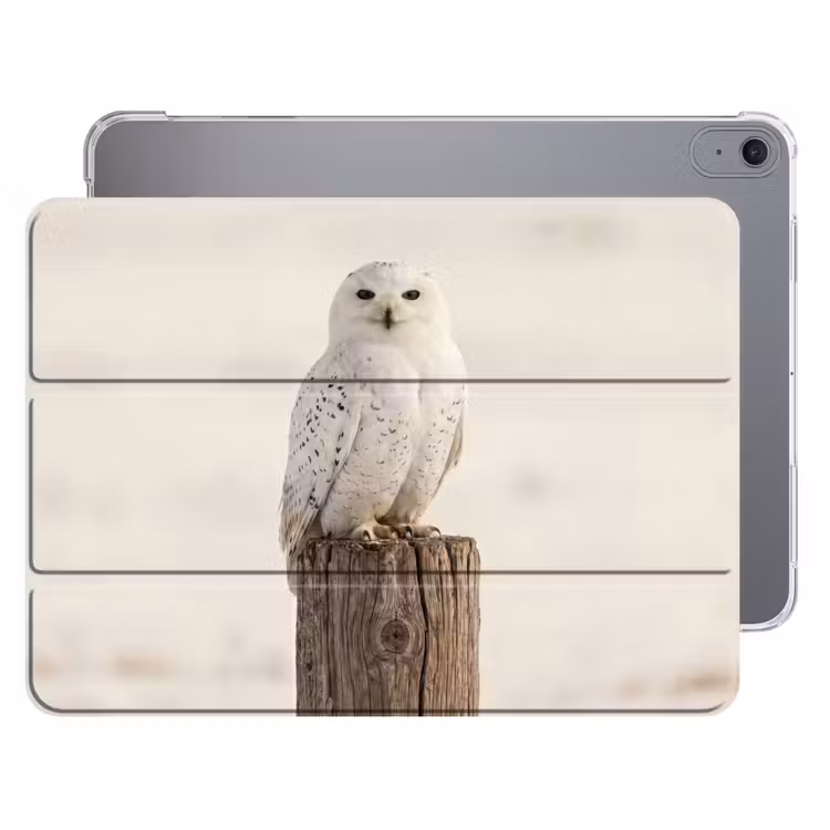 iPad hoes - Sneeuwuil - Paal - Winter - Portret - Majestueus — 1