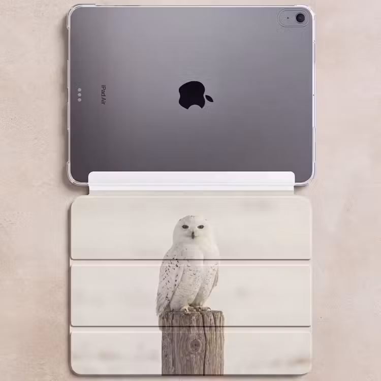 iPad hoes - Sneeuwuil - Paal - Winter - Portret - Majestueus — 6