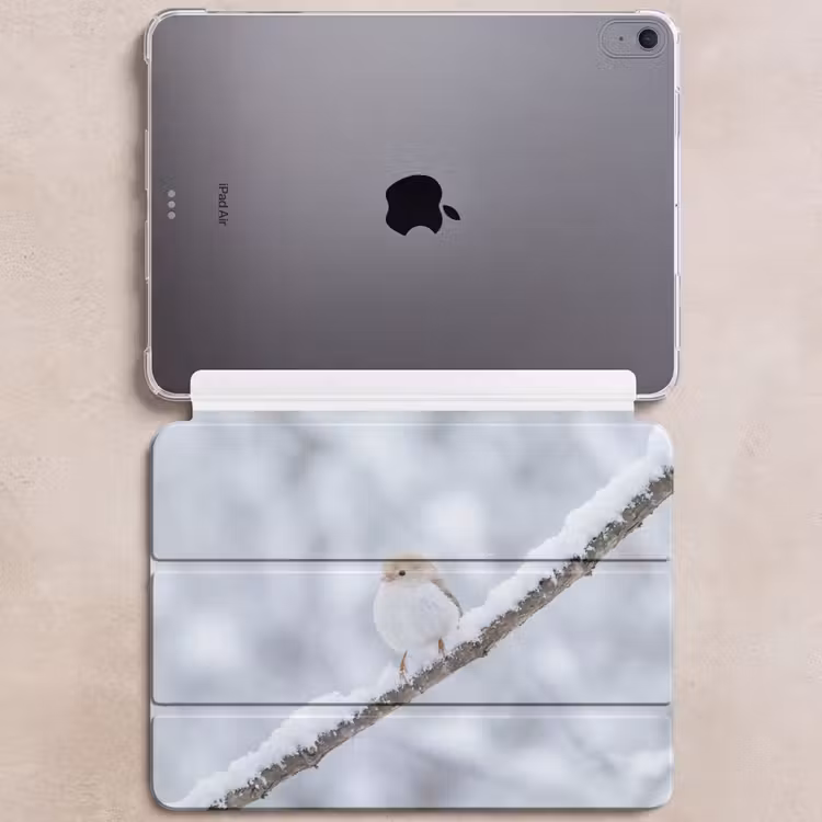 iPad hoes - Vogeltje - Sneeuw - Tak - Winter - Zacht — 6