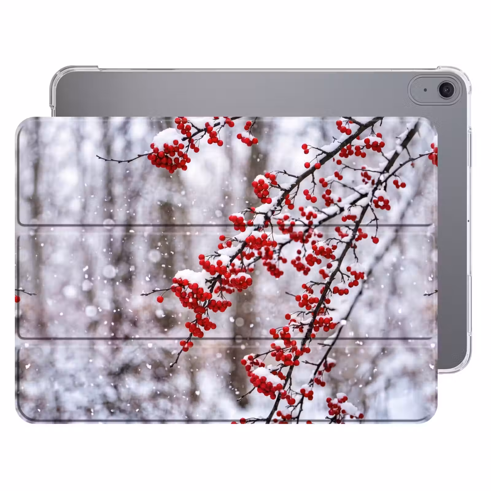 iPad hoes - Bessen - Takken - Sneeuw - Winter - Kleurrijk — 1