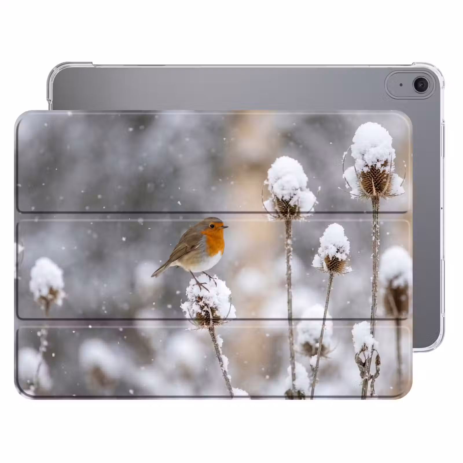 iPad hoes - Roodborstje - Gedroogde bloem - Sneeuw - Winter - Vertederend — 1