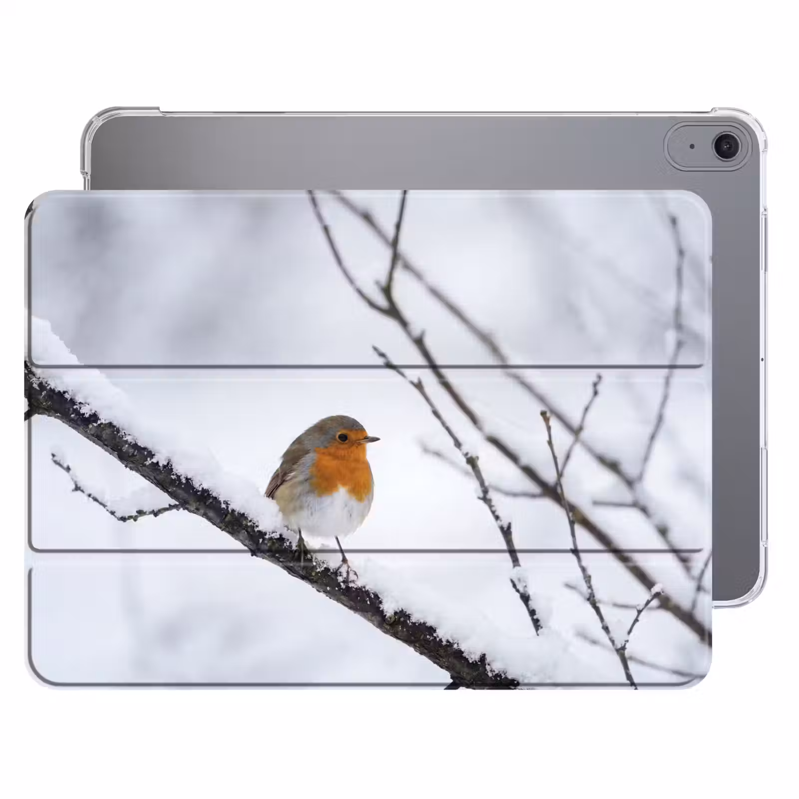 iPad hoes - Roodborstje - Tak - Sneeuw - Winter - Levendig — 1