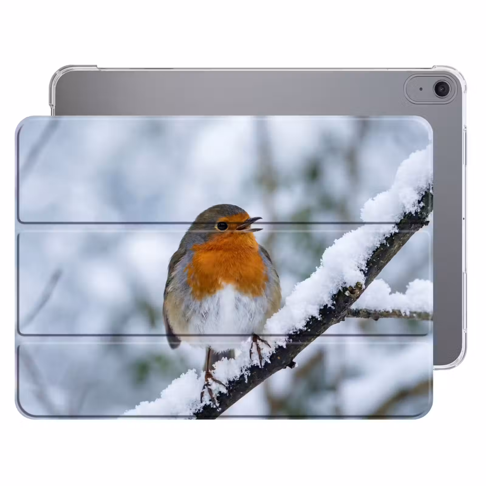 iPad hoes - Roodborstje - Tak - Sneeuw - Winter - Levendig — 1