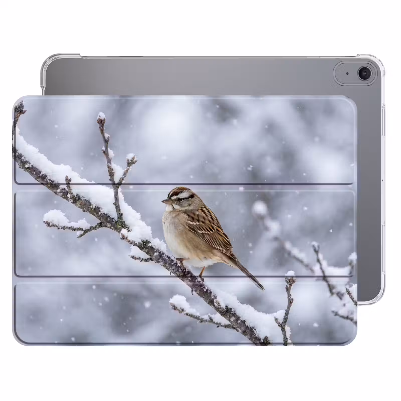 iPad hoes - Vogel - Tak - Sneeuw - Winter — 1