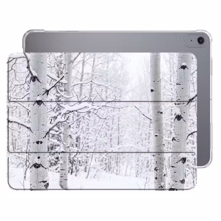 iPad hoes - Berkenbomen - Sneeuw - Winter - Bos - Wit — 1