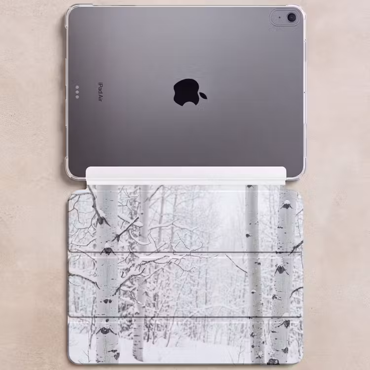 iPad hoes - Berkenbomen - Sneeuw - Winter - Bos - Wit — 6