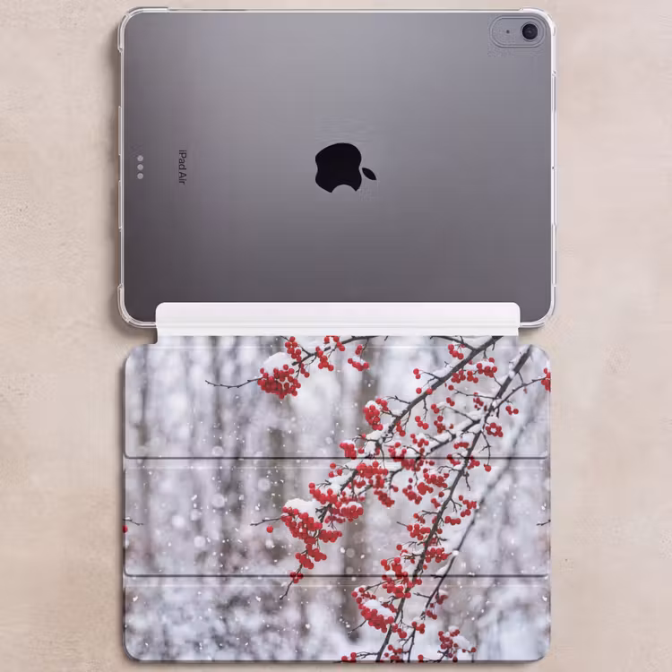 iPad hoes - Bessen - Takken - Sneeuw - Winter - Kleurrijk — 6