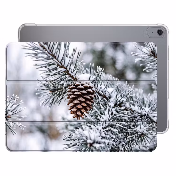 iPad hoes - Dennenappel - Tak - Sneeuw - Winter - Sfeervol — 1