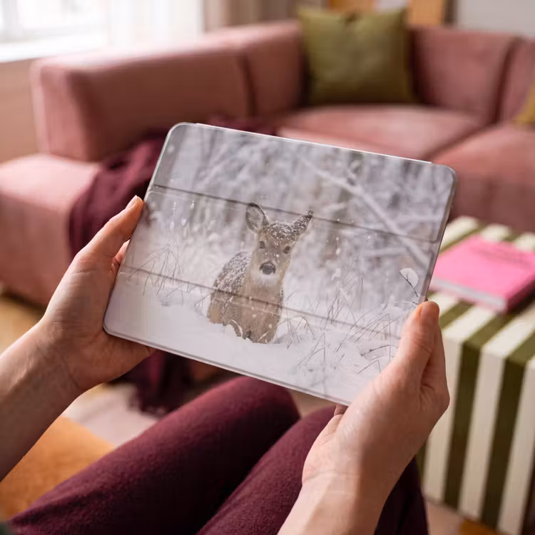 iPad hoes - Hert - Sneeuw - Bos - Dieren - Vertederend — 4