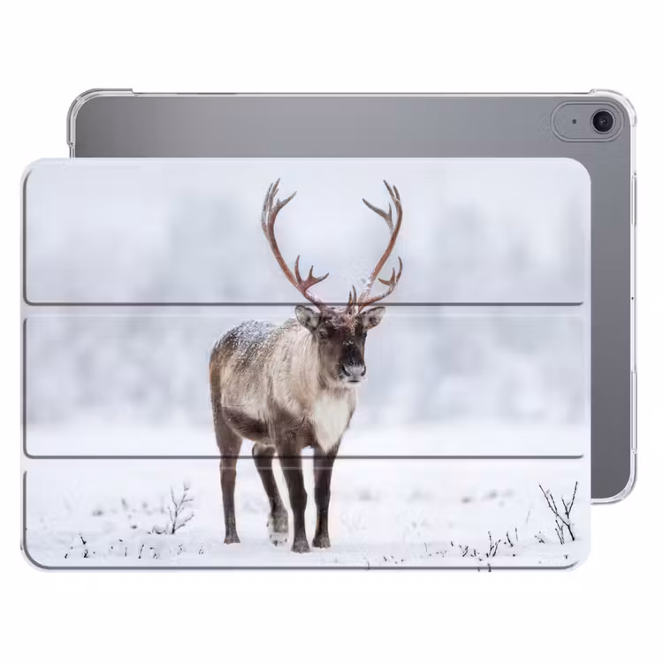 iPad hoes - Rendier - Gewei - Toendra - Sneeuw - Wild — 1