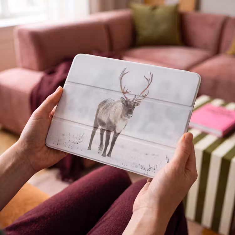 iPad hoes - Rendier - Gewei - Toendra - Sneeuw - Wild — 4
