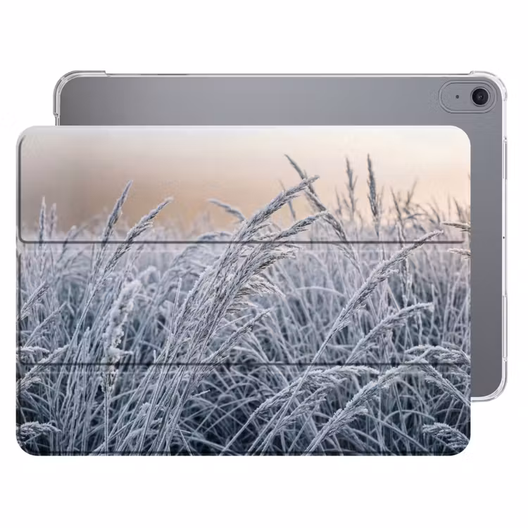 iPad hoes - Rijp - Gras - Kristallen - Winter - Minimalistisch — 1
