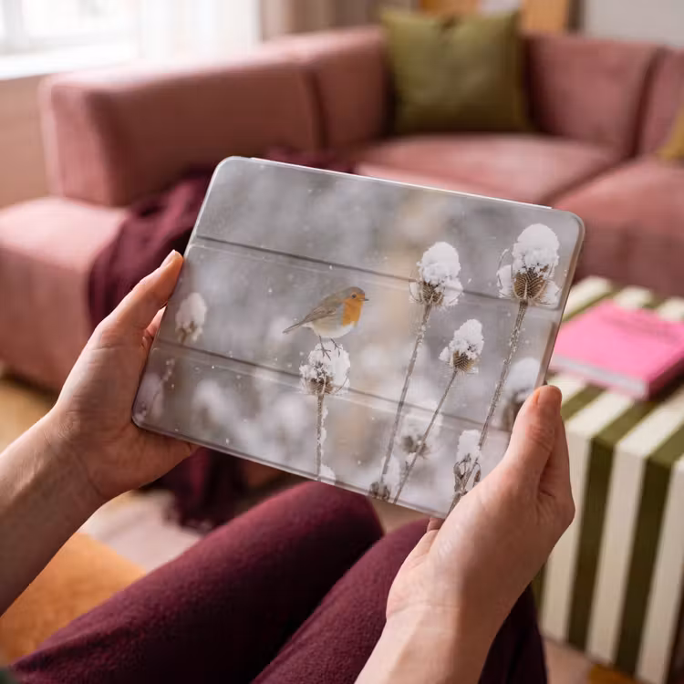 iPad hoes - Roodborstje - Gedroogde bloem - Sneeuw - Winter - Vertederend — 4