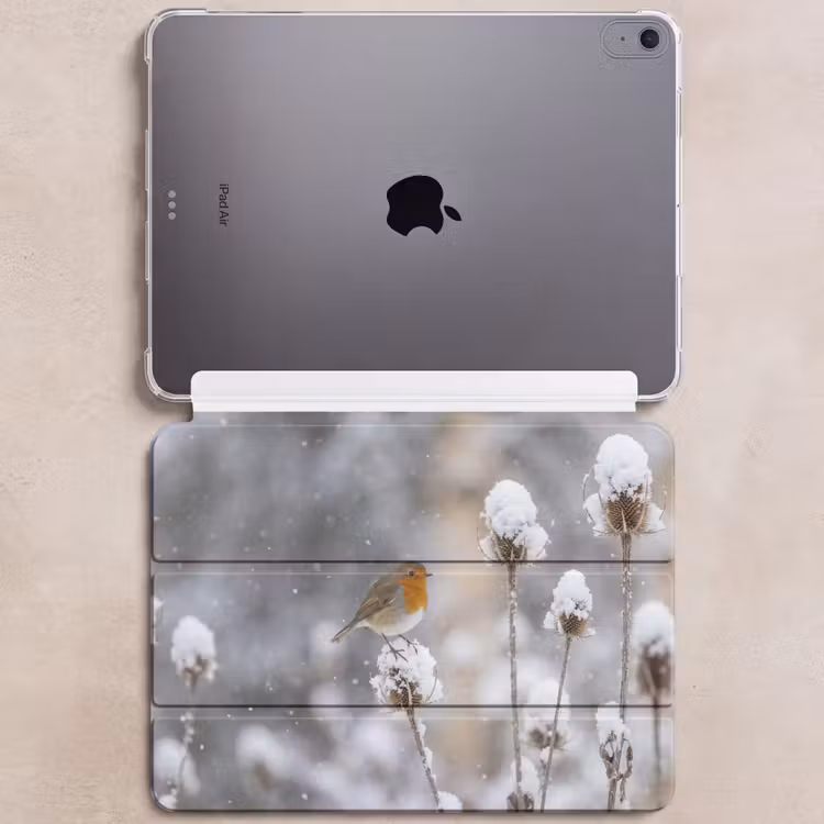 iPad hoes - Roodborstje - Gedroogde bloem - Sneeuw - Winter - Vertederend — 6