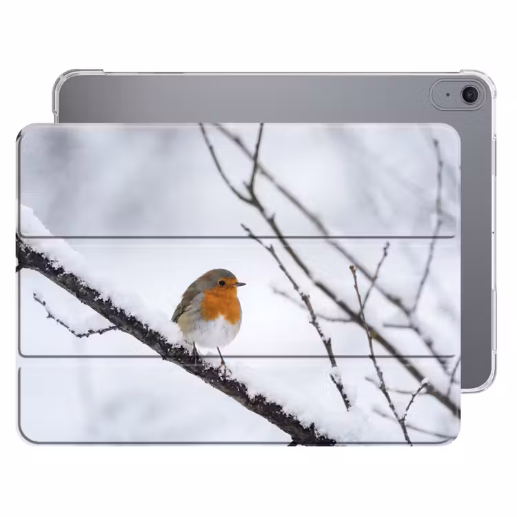 iPad hoes - Roodborstje - Tak - Sneeuw - Winter - Levendig — 1