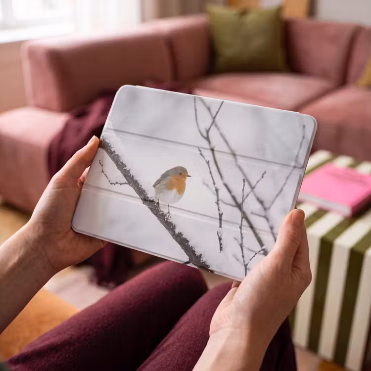 iPad hoes - Roodborstje - Tak - Sneeuw - Winter - Levendig — 4