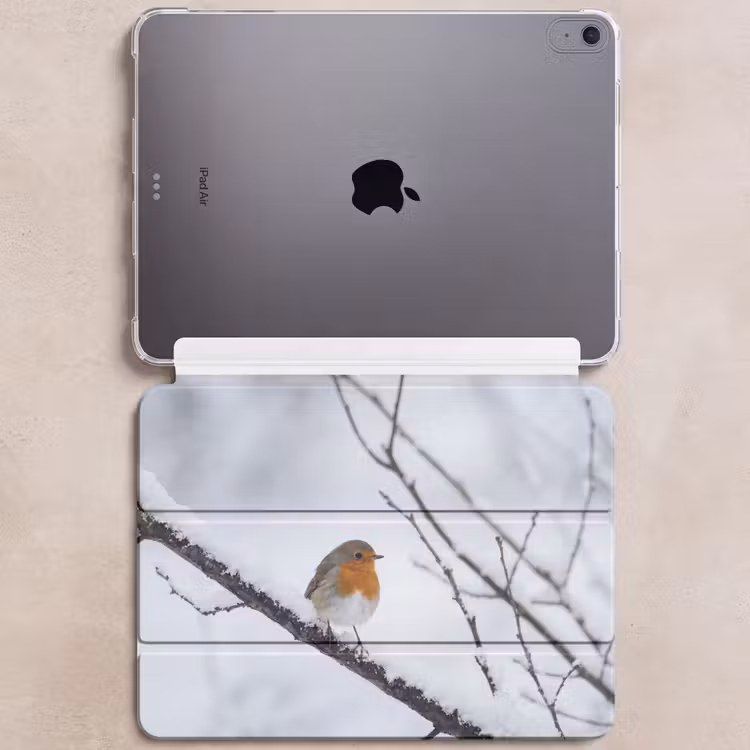 iPad hoes - Roodborstje - Tak - Sneeuw - Winter - Levendig — 6