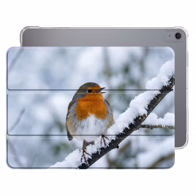 iPad hoes - Roodborstje - Tak - Sneeuw - Winter - Levendig — 1