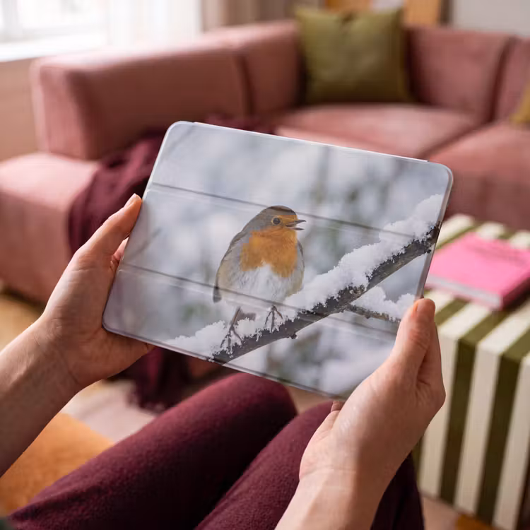 iPad hoes - Roodborstje - Tak - Sneeuw - Winter - Levendig — 4
