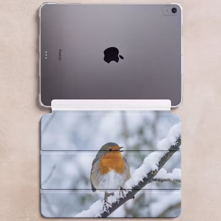 iPad hoes - Roodborstje - Tak - Sneeuw - Winter - Levendig — 6