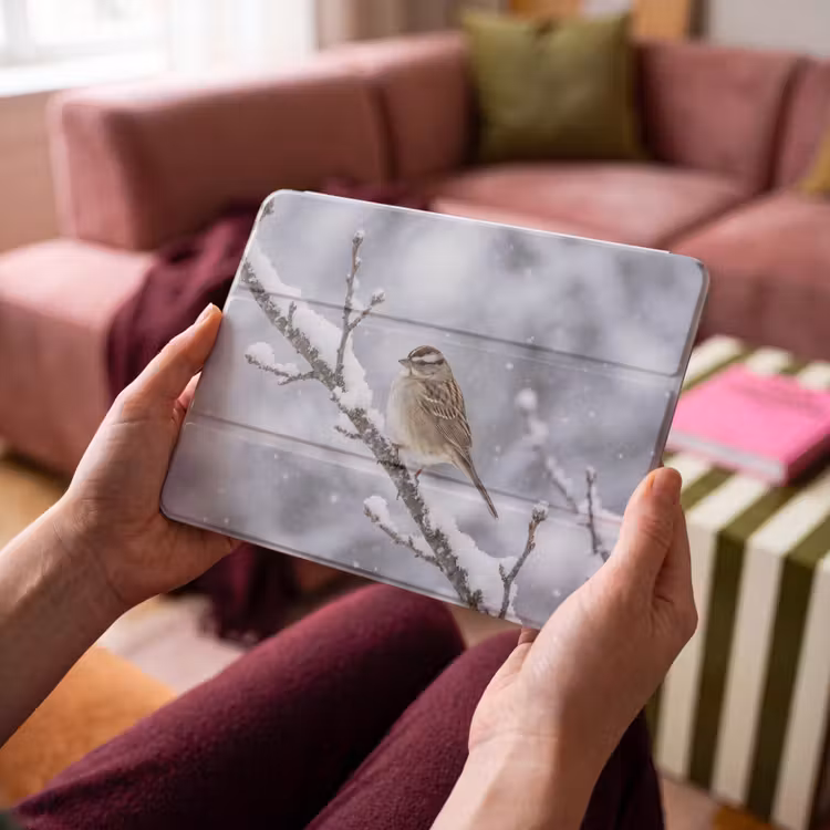 iPad hoes - Vogel - Tak - Sneeuw - Winter — 4