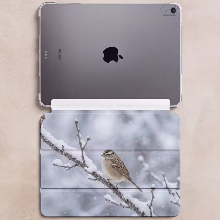 iPad hoes - Vogel - Tak - Sneeuw - Winter — 6