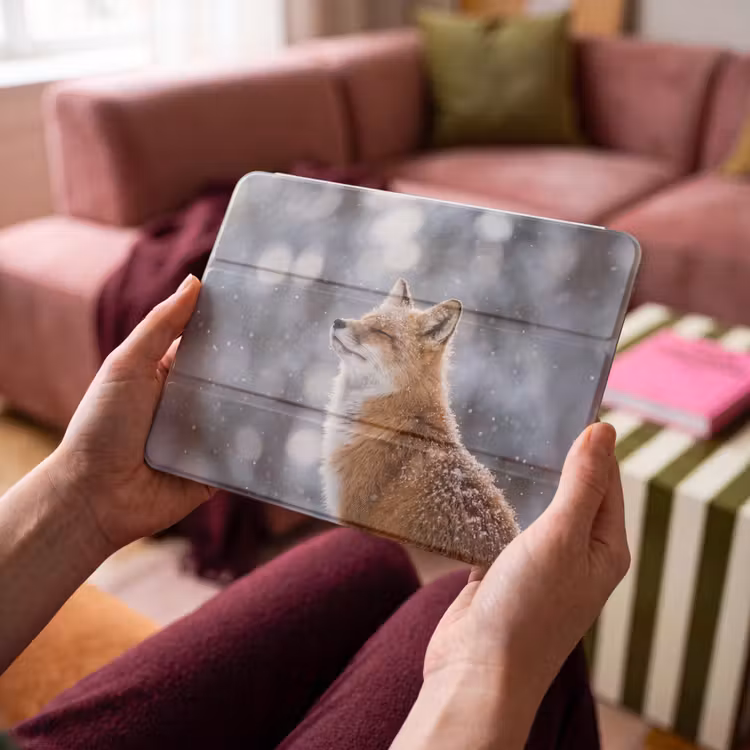 iPad hoes - Vos - Sneeuwval - Portret - Winter - Sfeervol — 4