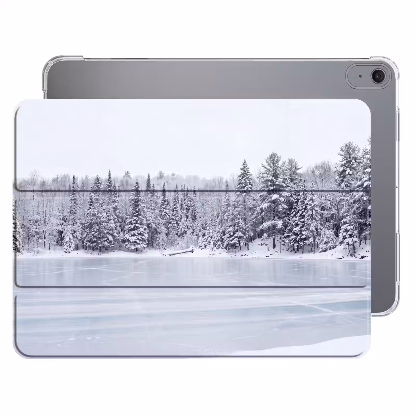 iPad hoes - Meer - Dennen - IJs - Winter - Rustgevend — 1