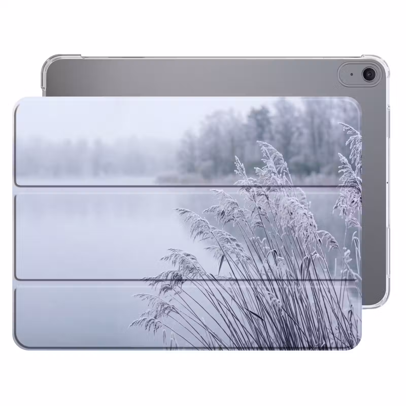 iPad hoes - Riet - Bevroren - Winter - Natuur — 1