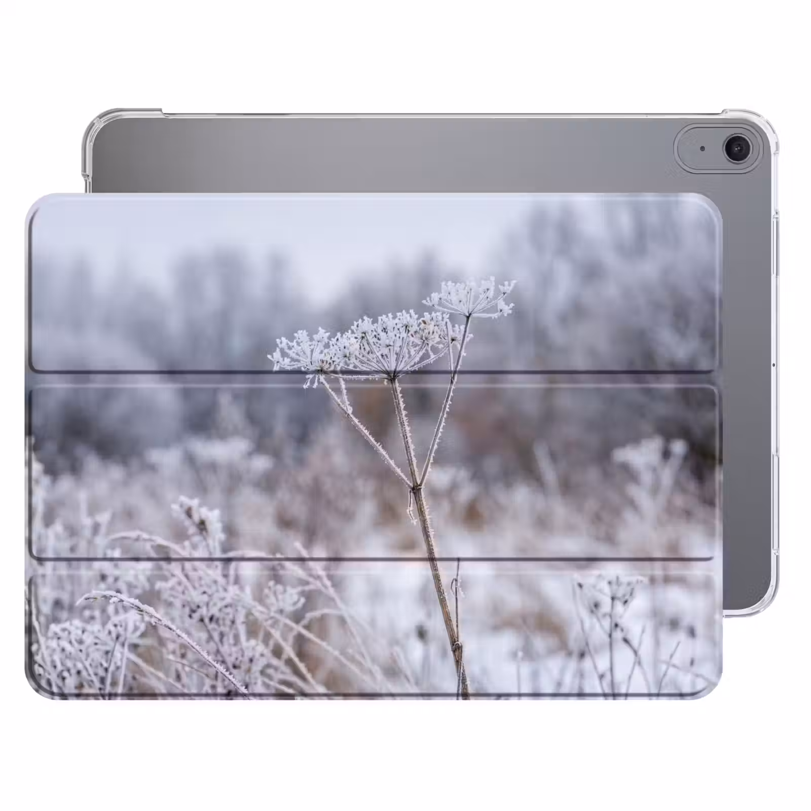 iPad hoes - Schermbloem - Rijp - Kristallen - Winter - Delicaat — 1