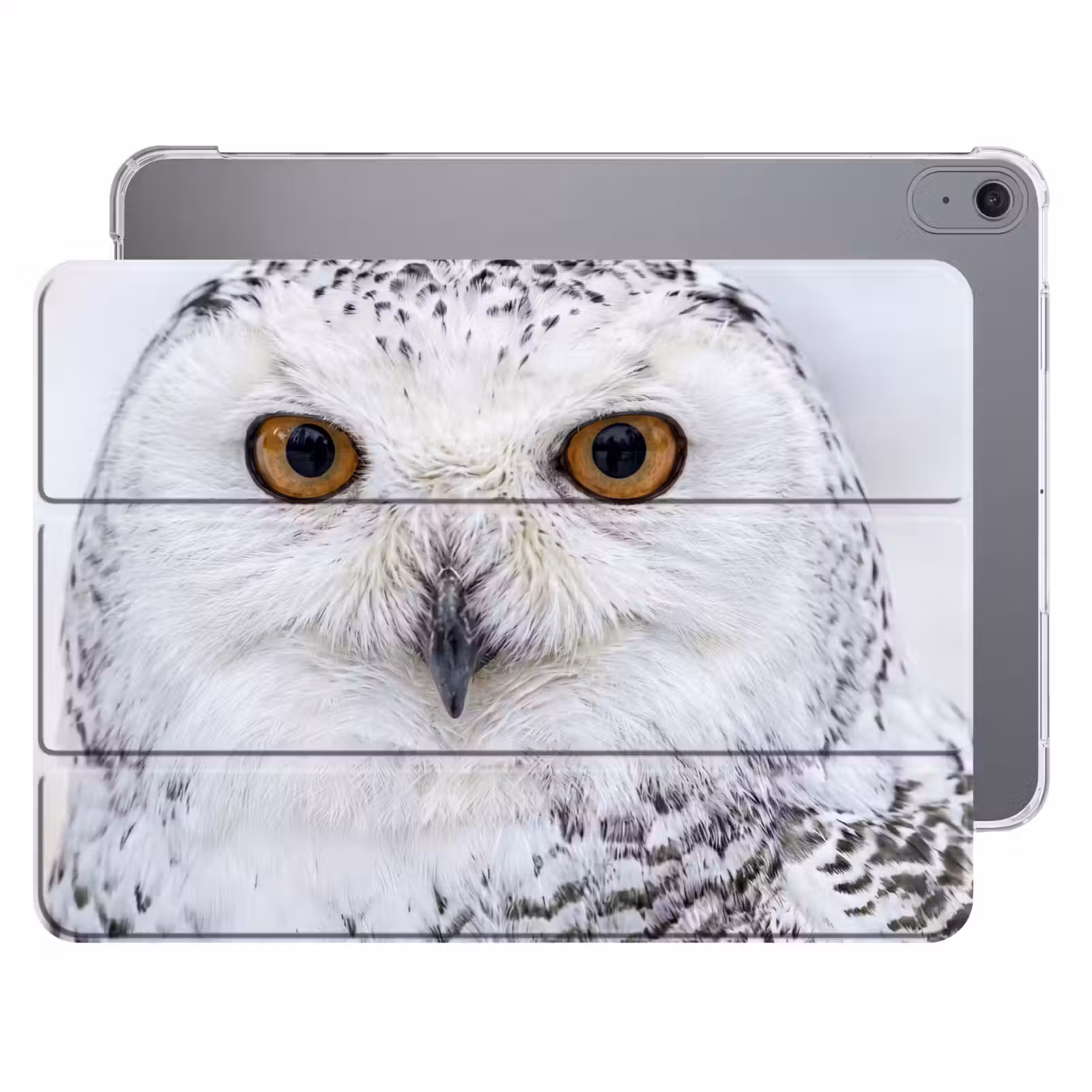 iPad hoes - Sneeuwuil - Oog - Wildlife - Wit — 1