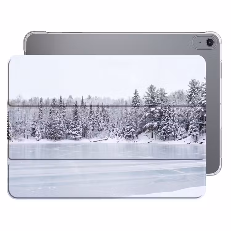 iPad hoes - Meer - Dennen - IJs - Winter - Rustgevend — 1
