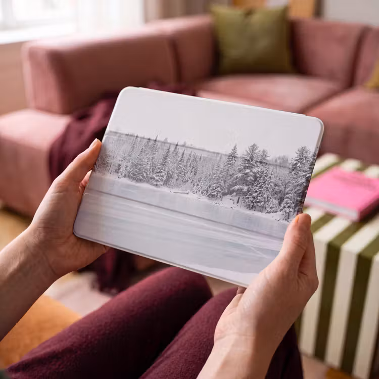 iPad hoes - Meer - Dennen - IJs - Winter - Rustgevend — 4