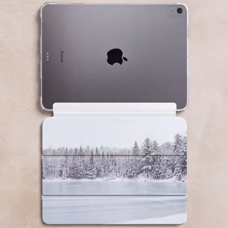 iPad hoes - Meer - Dennen - IJs - Winter - Rustgevend — 6