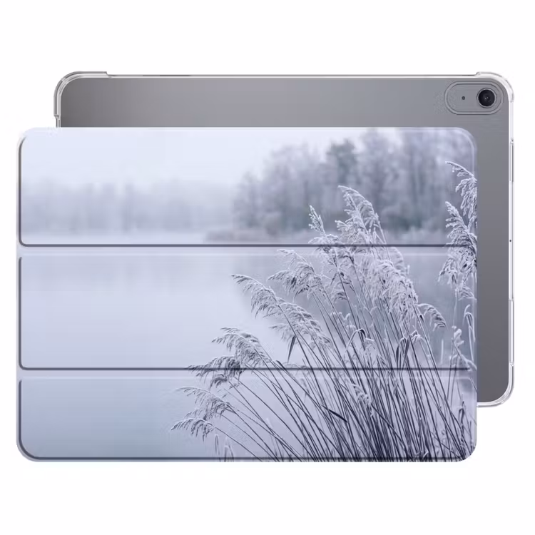 iPad hoes - Riet - Bevroren - Winter - Natuur — 1