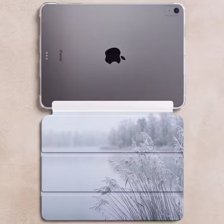 iPad hoes - Riet - Bevroren - Winter - Natuur — 6