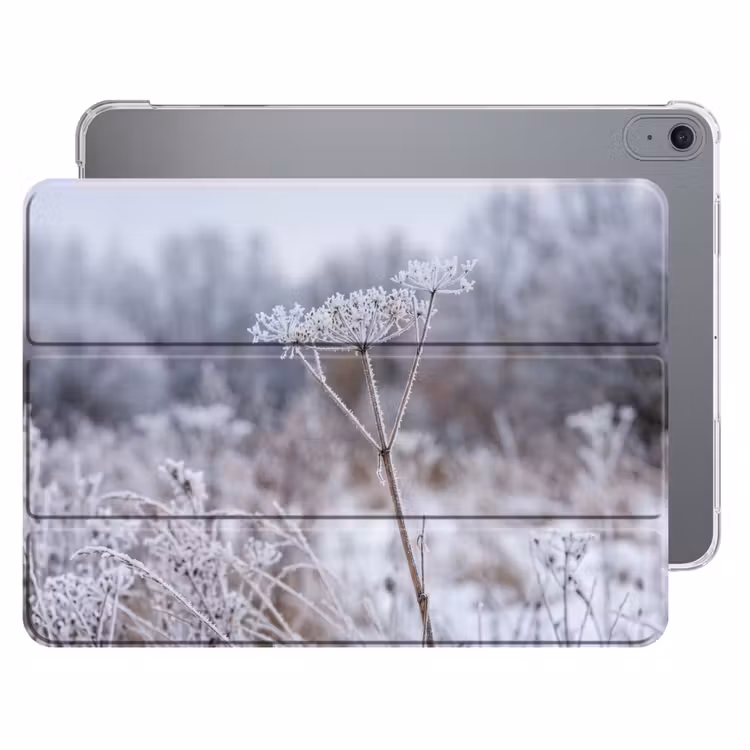 iPad hoes - Schermbloem - Rijp - Kristallen - Winter - Delicaat — 1