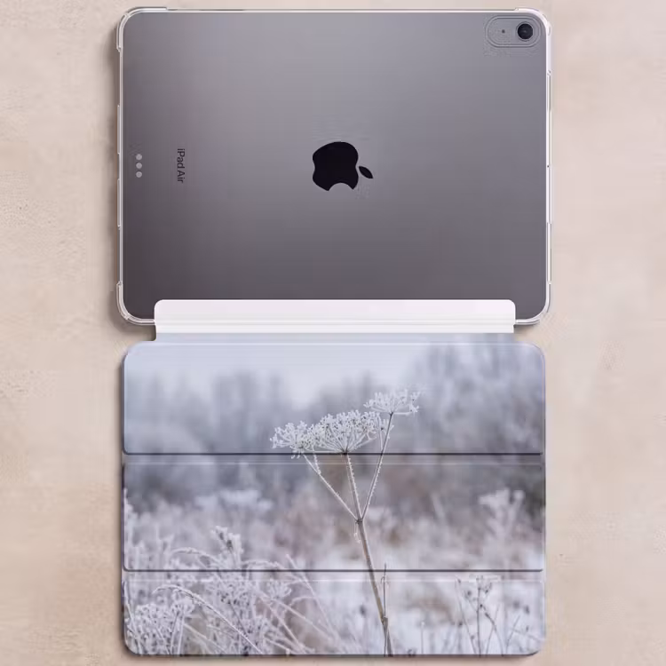 iPad hoes - Schermbloem - Rijp - Kristallen - Winter - Delicaat — 6